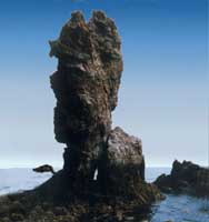 基岩海岸的海蚀地貌a海蚀柱