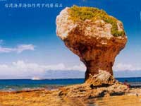 基岩海岸的海蚀地貌b蘑菇石
